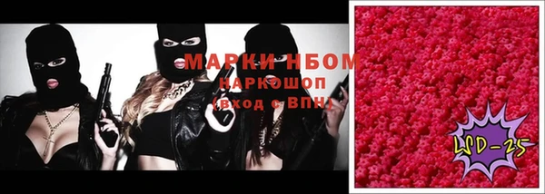 мдпв Алексин