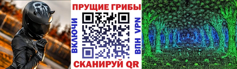 Псилоцибиновые грибы прущие грибы  Чердынь 